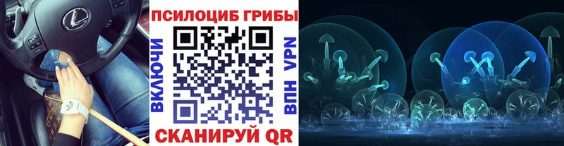 Галлюциногенные грибы прущие грибы купить наркоту Коломна